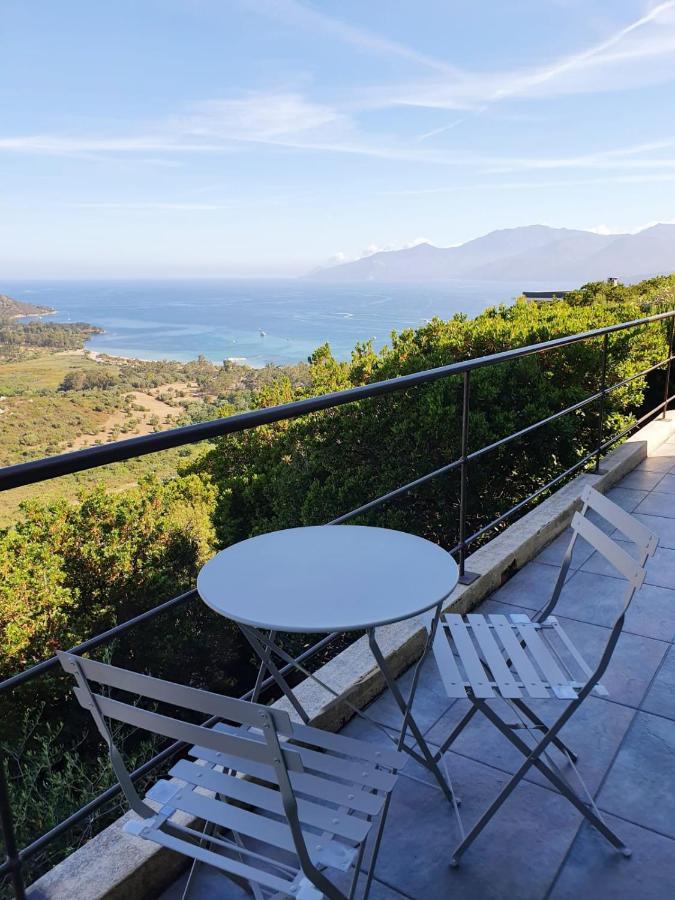 Les Hauts De Fromentica Saint-Florent  Exteriör bild